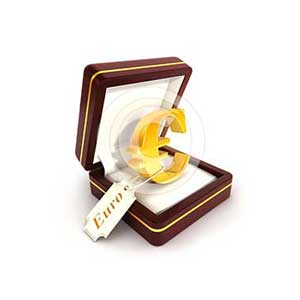 3d euro sign in jewel box